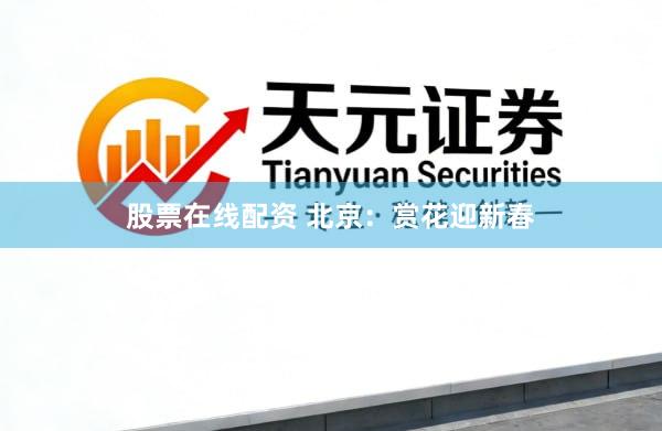 股票在线配资 北京：赏花迎新春