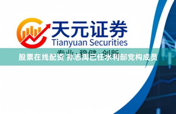 股票在线配资 孙志禹已任水利部党构成员